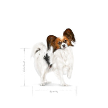 Royal Canin x-small Adult