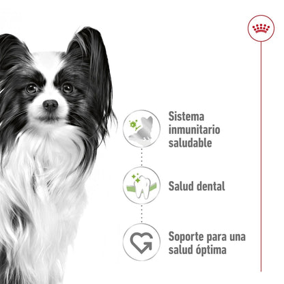 Royal Canin x-small Adult