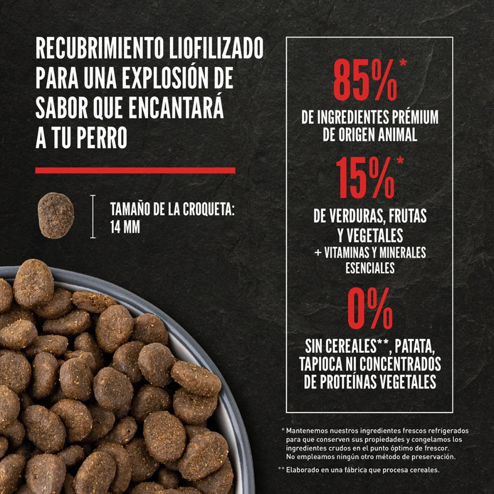 {product_title} {product_vendor} - Alimento premium para mascotas Perú