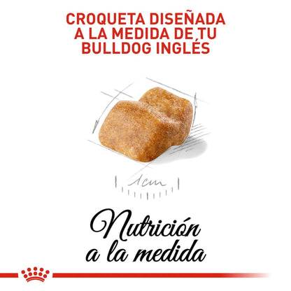 Royal Canin Puppy Bulldog Ingles