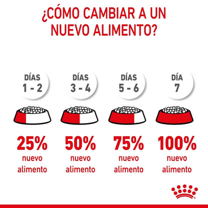 Royal Canin Puppy Maxi
