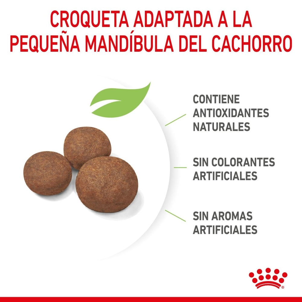 Royal Canin Puppy Medium