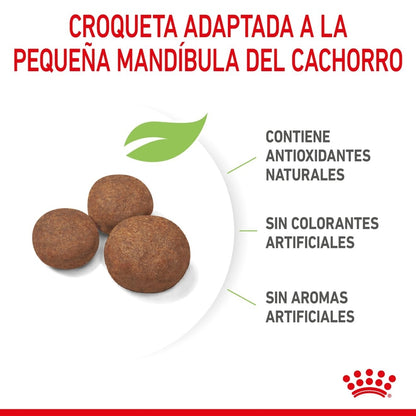 Royal Canin Puppy Medium