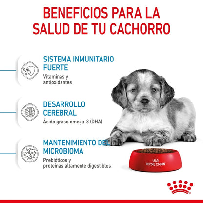 Royal Canin Puppy Medium