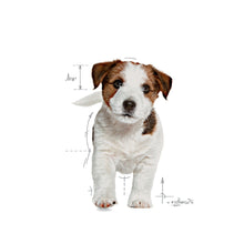 Royal Canin Puppy Mini
