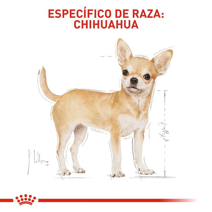 Royal Canin Adult Chihuahua