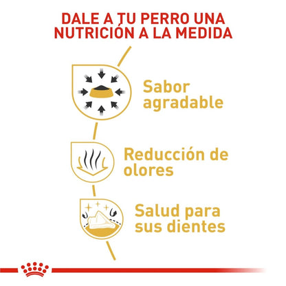 Royal Canin Adult Chihuahua