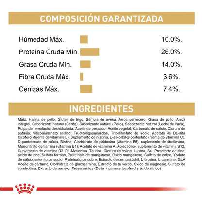 Royal Canin Adult Chihuahua