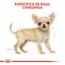 Royal Canin Puppy Chihuahua