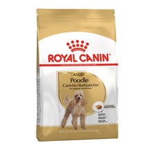Royal Canin Adult Poodle