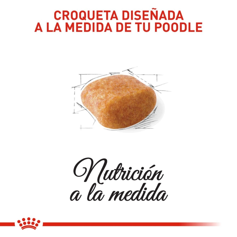 Royal Canin Adult Poodle