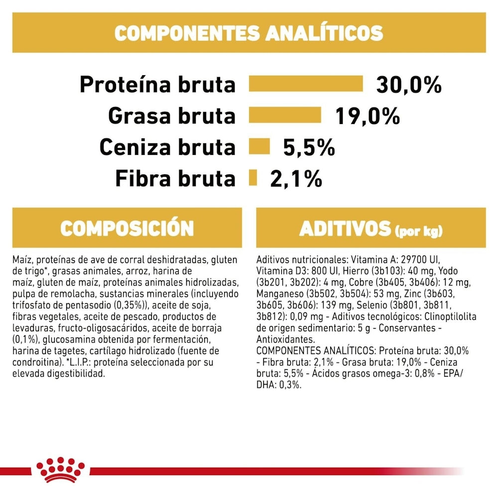 Royal Canin Adult Poodle