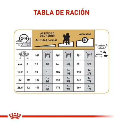 Royal Canin Adult Poodle