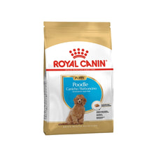 Royal Canin Puppy Poodle