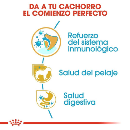 Royal Canin Puppy Poodle