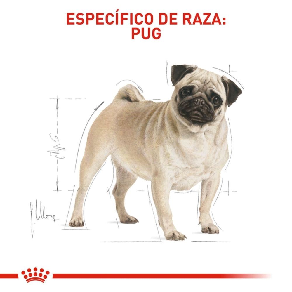 Royal Canin Adult Pug