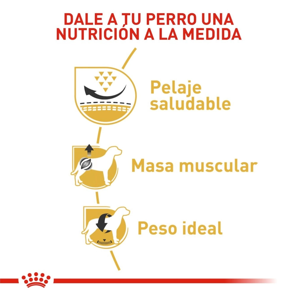 Royal Canin Adult Pug
