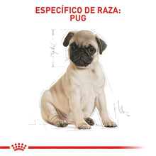 Royal Canin Puppy Pug