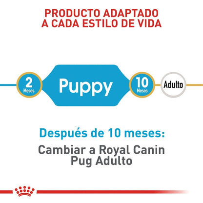 Royal Canin Puppy Pug