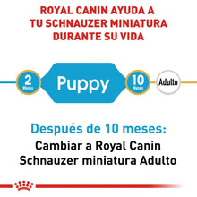 Royal Canin Adult Miniature Schnauzer