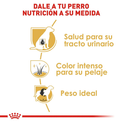 Royal Canin Adult Miniature Schnauzer
