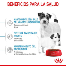 Royal Canin Starter Mini