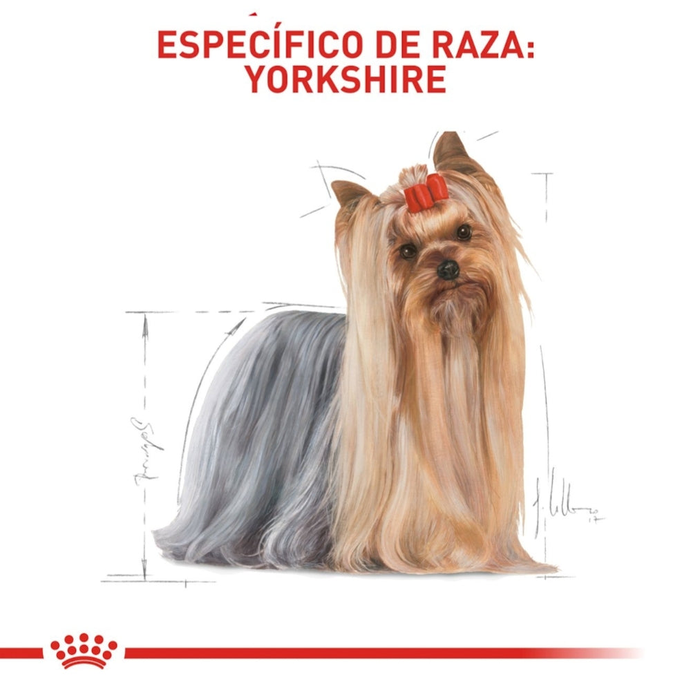 Royal Canin Adult Yorkshire Terrier