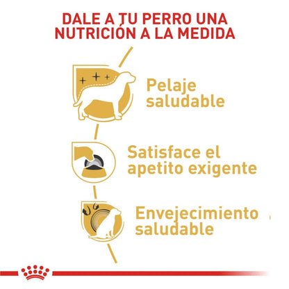 Royal Canin Adult Yorkshire Terrier