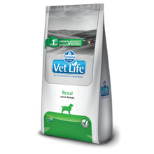 Vet Life Renal Canine