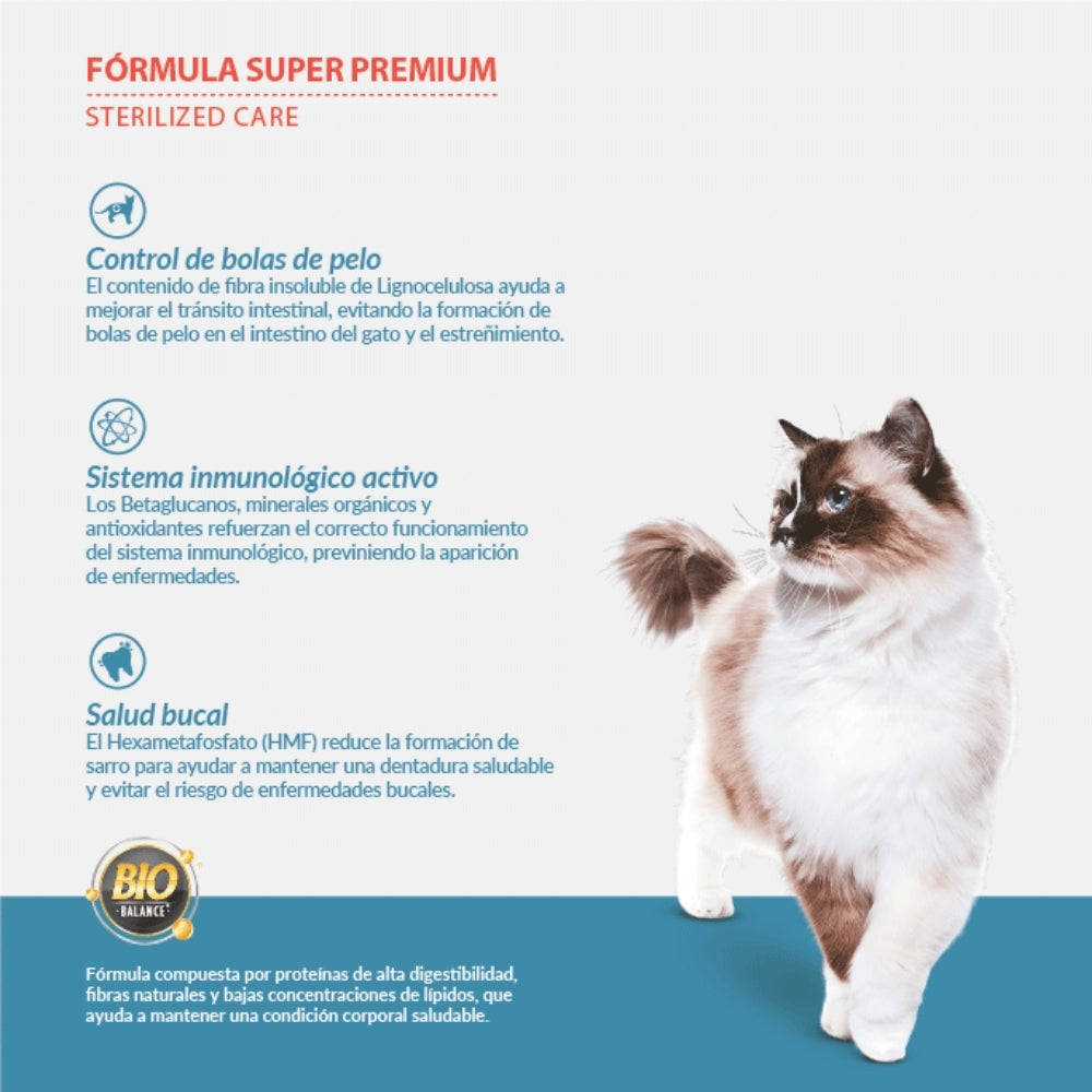 Canbo Gatos Adultos Esterilizados