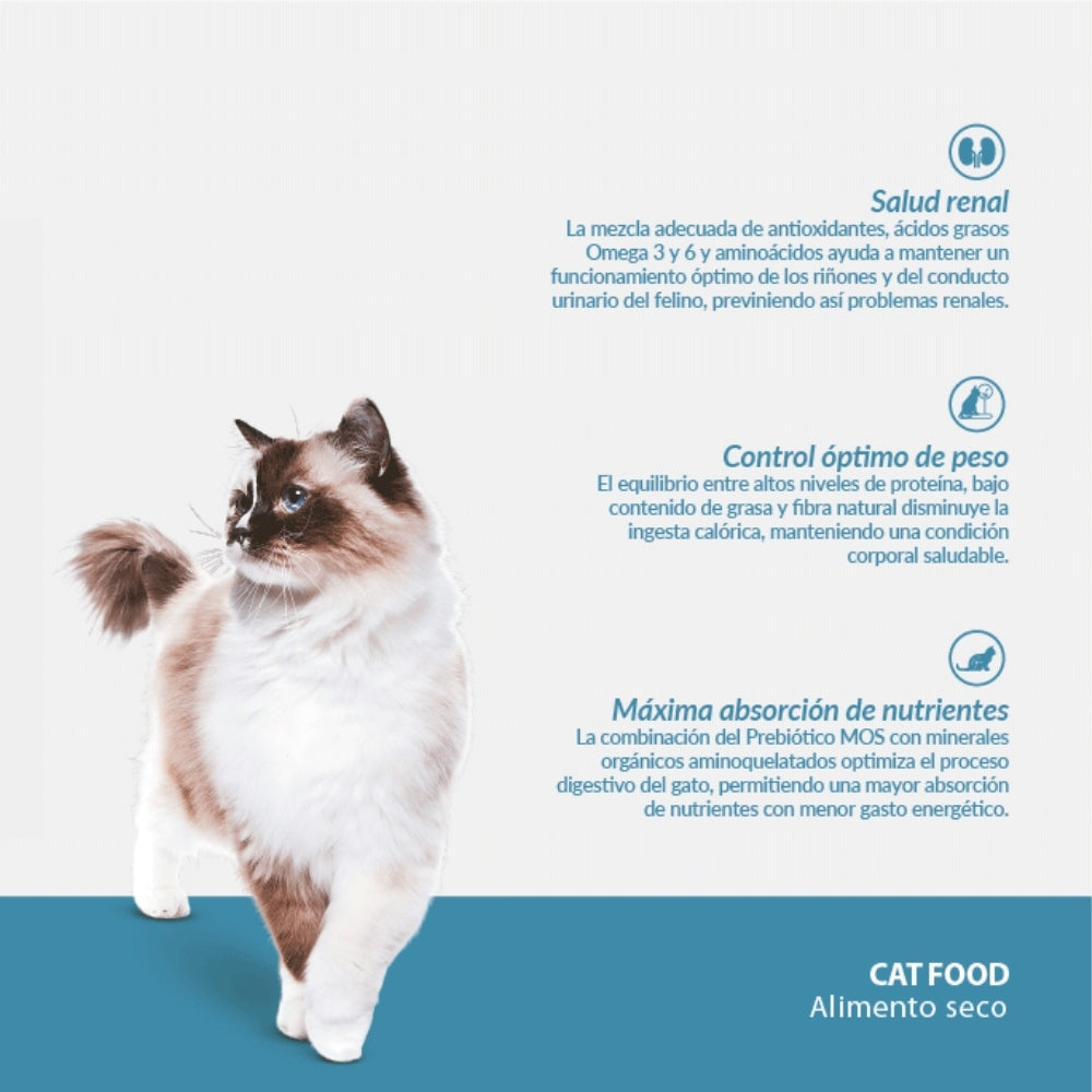 Canbo Gatos Adultos Esterilizados