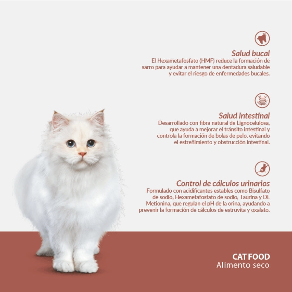 Canbo Gatos Adulto Urinary Health