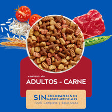 Cat Chow Adultos sabor Carne