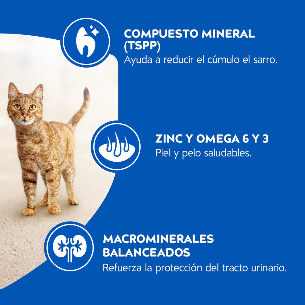 Cat Chow Adultos sabor Carne