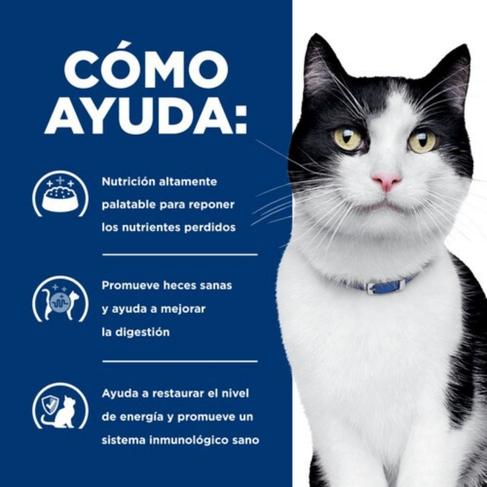 Hills PD Feline i/d Digestive Care
