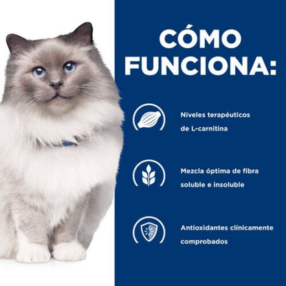 Hills PD Feline r/d Weight Loss