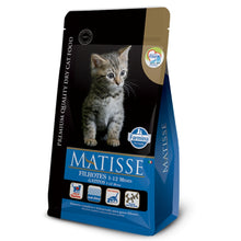 Matisse Gatitos