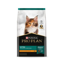 Pro Plan Kitten