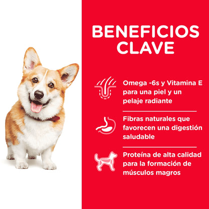 Hills SD Canine Adult 1-6 Small Bites Chicken