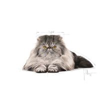Royal Canin Adult Persian