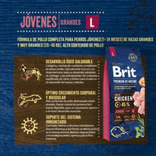 Brit Premium by Nature Junior Large
