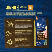 Brit Premium by Nature Junior Medium