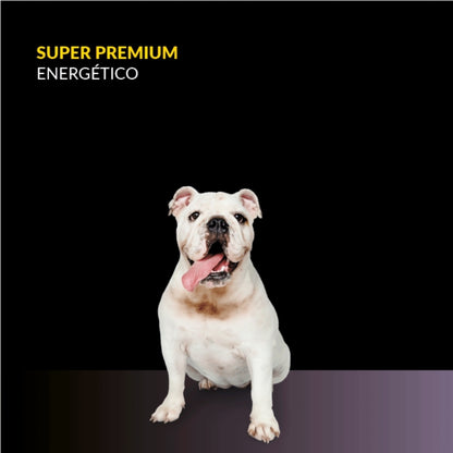 Canbo Adultos Energético