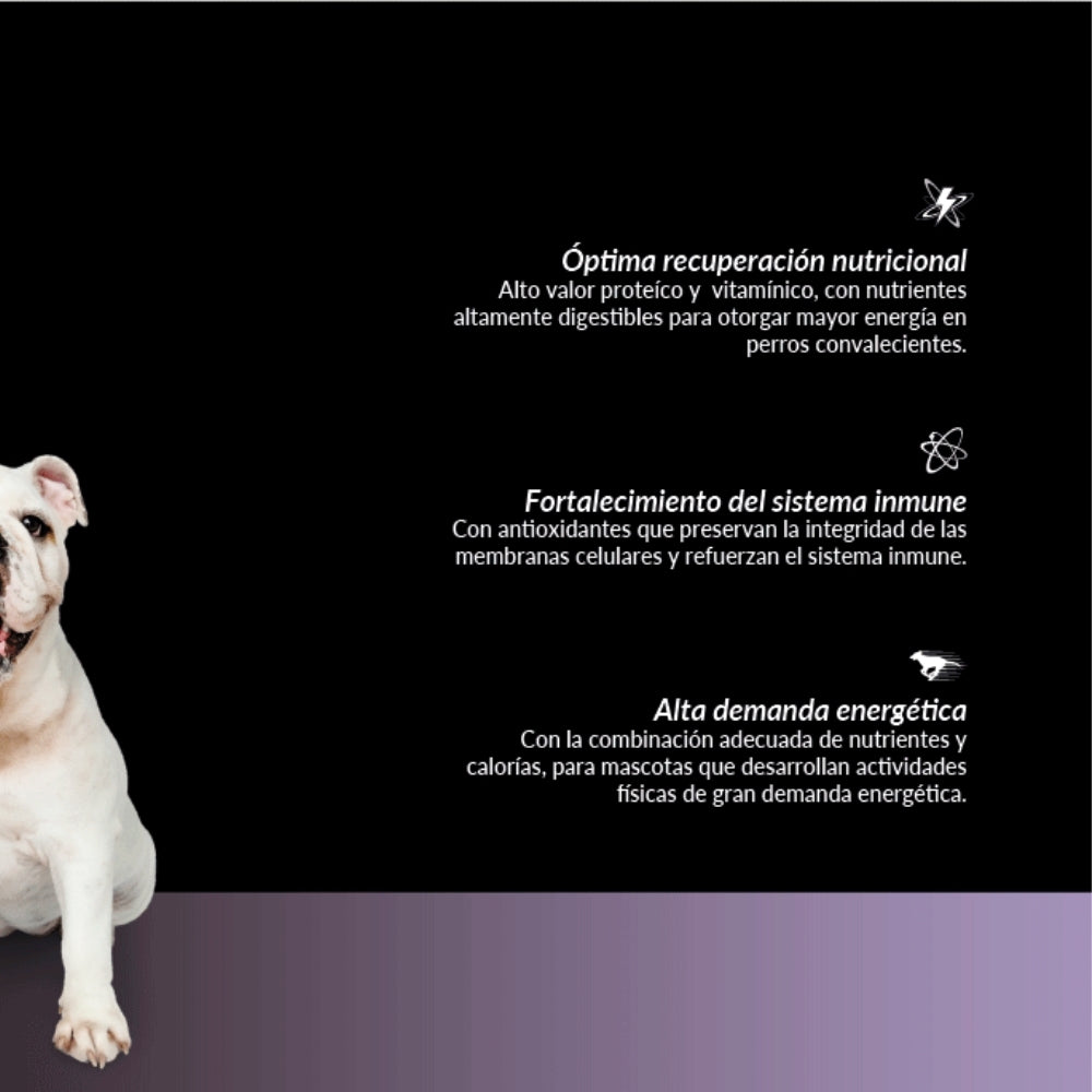 Canbo Adultos Energético