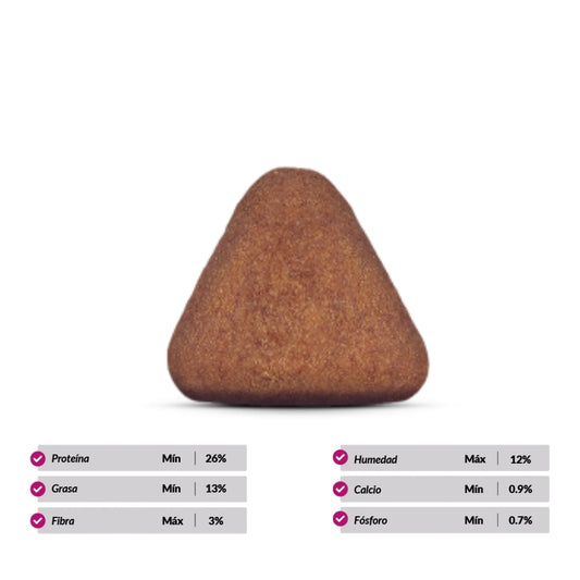 Canbo Adulto Razas Medianas y Grandes Cordero