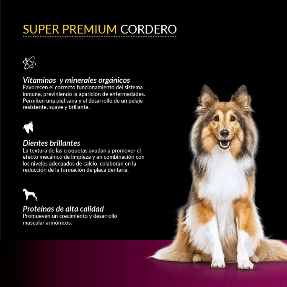 Canbo Adulto Razas Medianas y Grandes Cordero