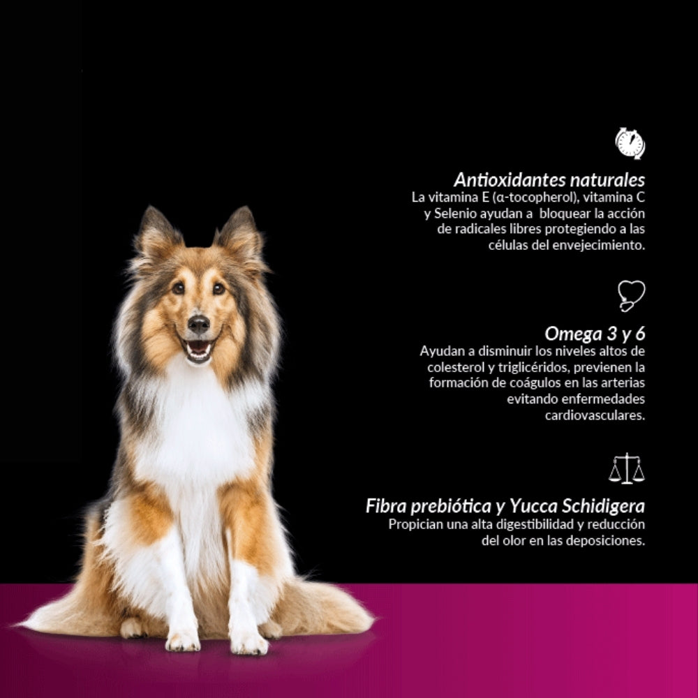 Canbo Adulto Razas Medianas y Grandes Cordero