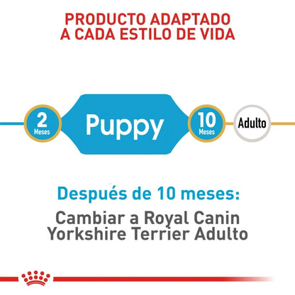 Royal Canin Puppy Yorkshire Terrier