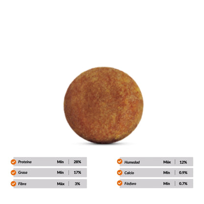 Canbo Adulto Razas Pequeñas de Cordero