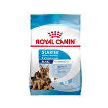 Royal Canin Starter Maxi